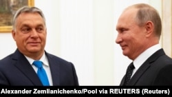 Viktor Orban və Vladimir Putin (Arxiv fotosu)