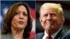 Kamala Harris. Donald Tramp