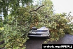 Наступствы віхора ў мікрараёне Лошыцы